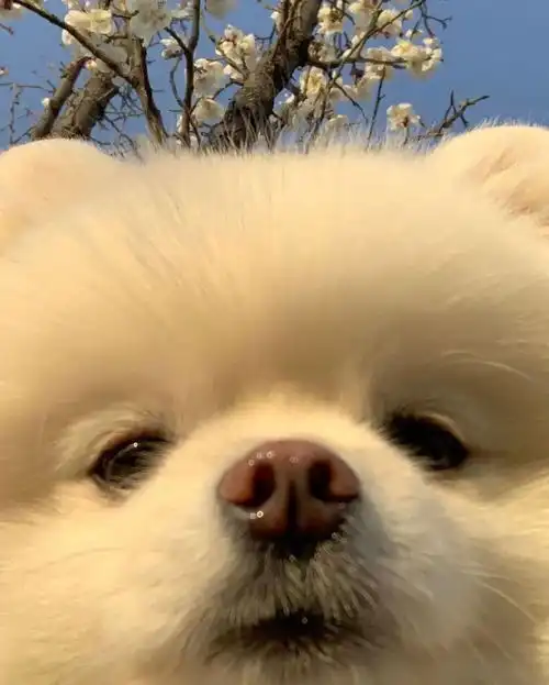  头像倔强穷人必备沙雕文案