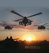  请各位大虾鉴定一下这是中国哪一款武装直升机