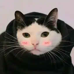 情侣头像,不努力才觉得努力没有用 情侣头像,不努力才觉得努力没有用