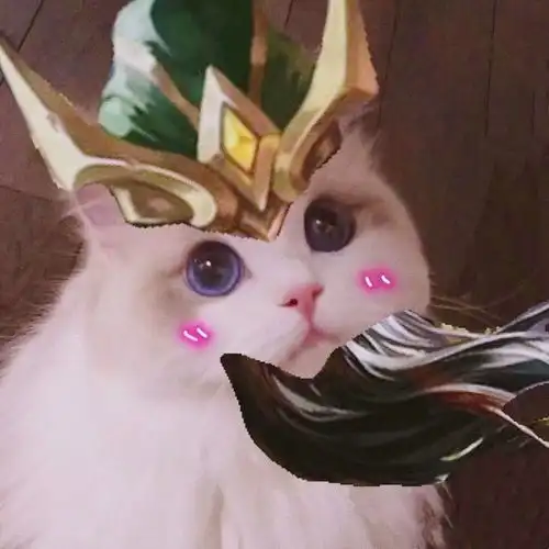  王者荣耀五虎将猫咪头像