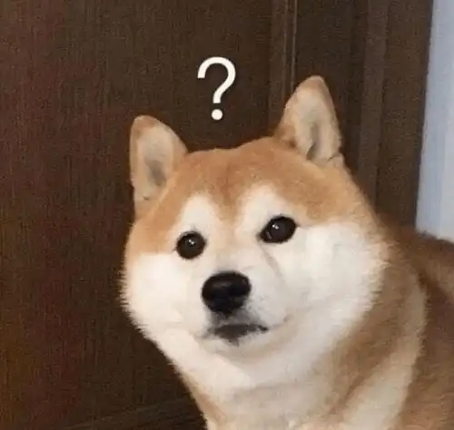 情侣头像可爱小孩萌萌北