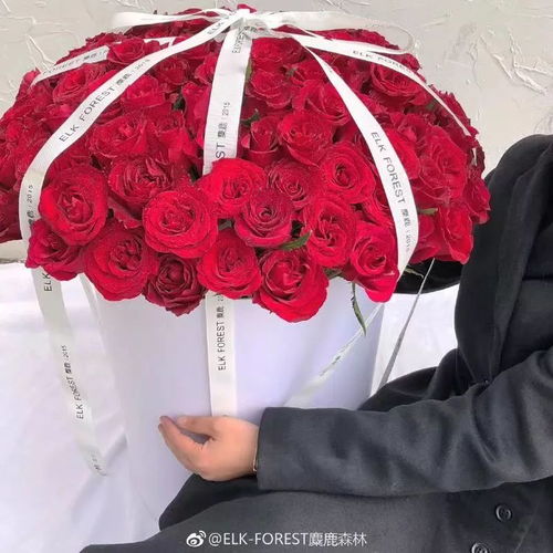  2019年春节去哪吃喝玩乐这份攻略为你详细安排