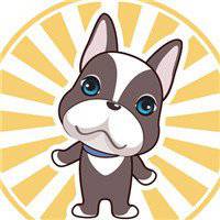  法兰西斗牛犬情侣头像微信头像图片大全