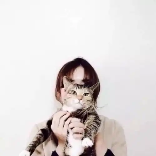 有哪些好看的情侣头像