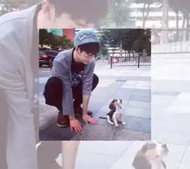  四对高清情侣头像高清,要很高级的那种,很酷炫帅气的