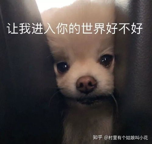 可爱沙雕头像表情包搞笑
