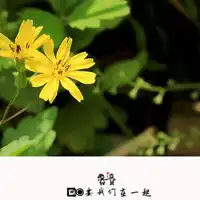  可爱个性混搭系qq头像图片,静物,卡通人物,漂亮花朵等