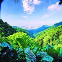  风水上最好的微信头像风景招财微信头像图片大全