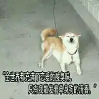  单身狗吃狗粮表情包微信头像图片大全