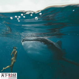  这对情侣环游世界每张游照卖9000美元