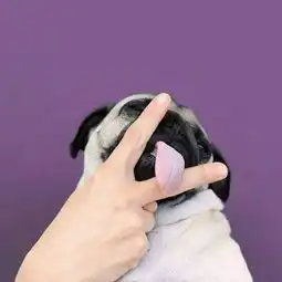  赵老师xmu的微博微博