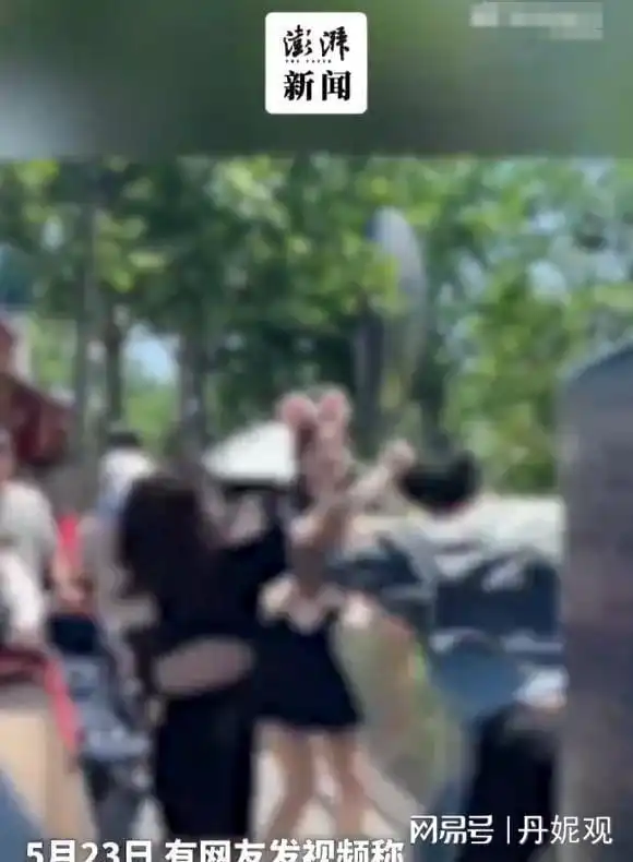  迪士尼互殴后续衣服被撕开,眼睛流血,孩子受牵连,目击者发声快乐疯狂兔子小情侣网易订阅
