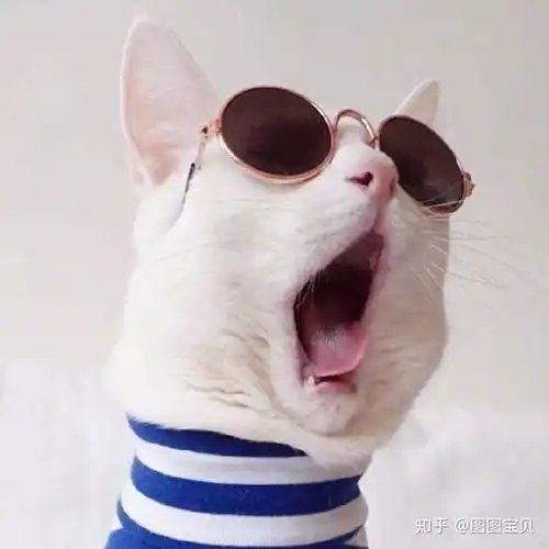 国外情侣头像一人一张伊