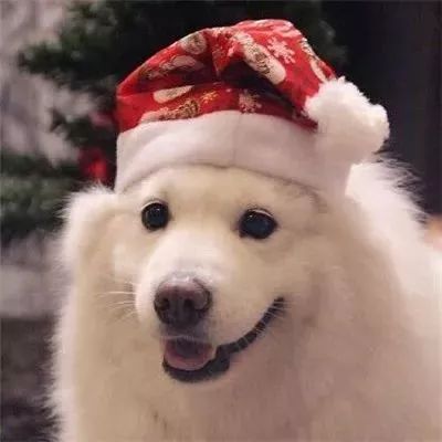  情头圣诞情头