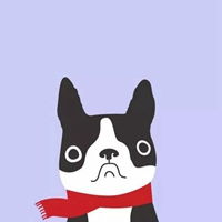  斗牛犬头像图片大全2020微信头像图片大全
