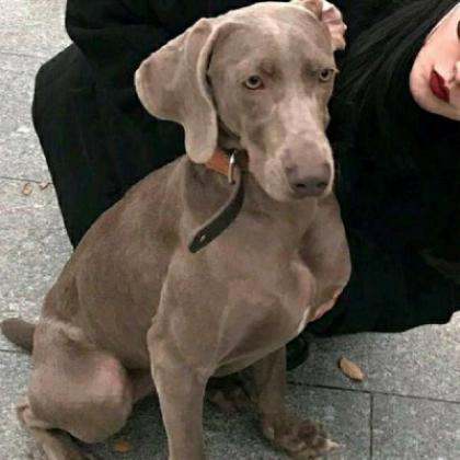  qq情侣一男一女头像,不要拿我跟任何人比