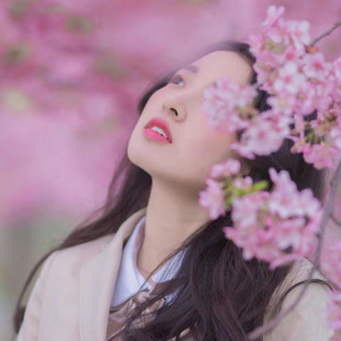 不近人情头像感情