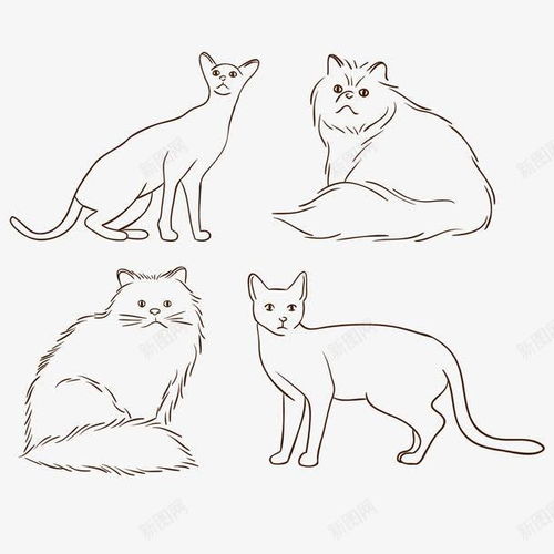  手绘线条宠物猫咪免费下载页面网页平面电商创意素材手绘猫咪素材
