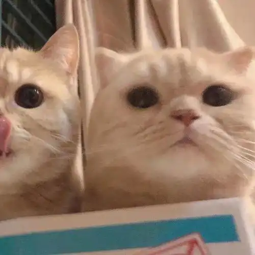  很赞的头像