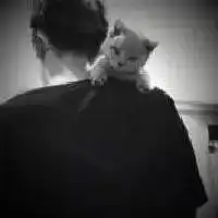  抱着猫咪的男生头像图片微信头像图片大全