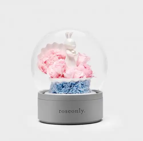  星辰大海,皆可为爱520roseonly给她最浪漫的爱