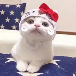  情侣头像一男一女