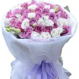 24枝紫玫瑰24枝紫玫瑰哪里买24枝紫玫瑰代表什么意思,鲜花蛋糕连锁 24枝紫玫瑰24枝紫玫瑰哪里买24枝紫玫瑰代表什么意思,鲜花蛋糕连锁