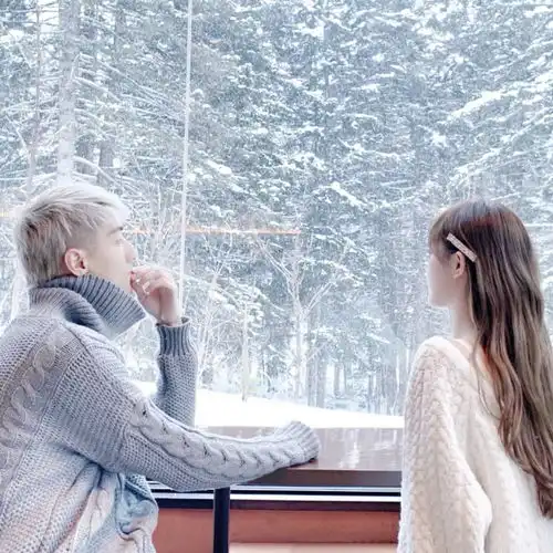 林海雪原  林海雪原