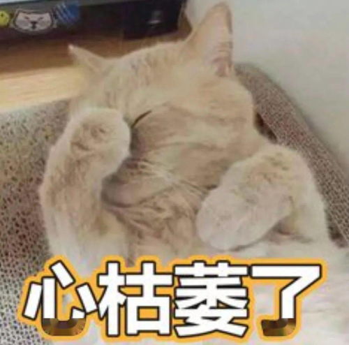  离婚后,约定每月给孩子7000元抚养费,前夫却以再婚再育等为由想少给钱,法院这样判