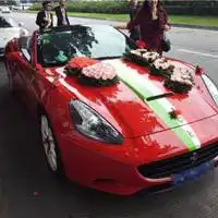  法拉利婚车头像微信头像图片大全