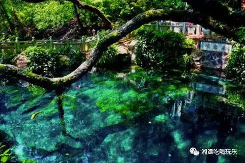 逛吃线路又多一条,湘潭人可以坐动车去大理啦 逛吃线路又多一条,湘潭人可以坐动车去大理啦