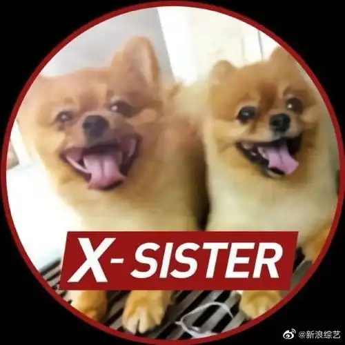  姐姐们集体换头像团综姐姐的爱乐之程即将开启