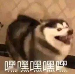  又要翻转接下来深圳将开启雨雨雨模式至于五一天气......