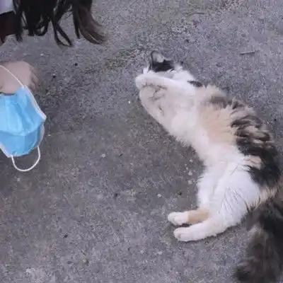  最能体现恋爱地位的情头