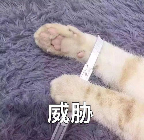  遇到不靠谱的丈夫要疯狂,多少女性深受产后抑郁症的折磨