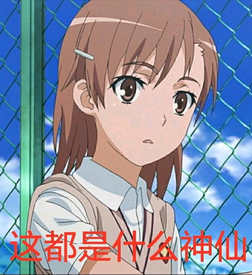  某科学的表情包御坂美琴篇