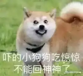  光电记者节,我们在路上