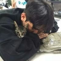  抱猫的男生头像高清微信头像图片大全