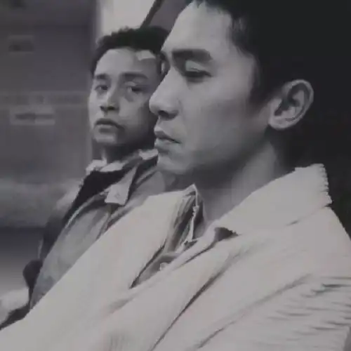 布布熊情侣头像梁朝伟