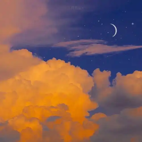 没有人回头只为再爱你一次 没有人回头只为再爱你一次