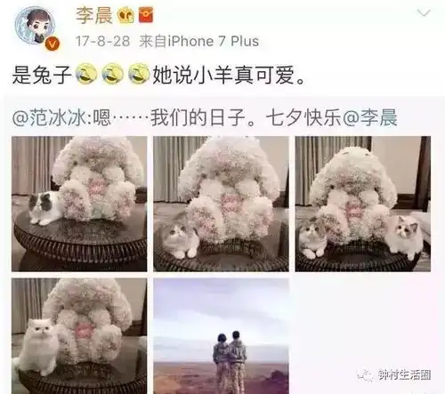  张继科景甜兔子蜜恋继续撒狗粮原来这些明星也是靠兔子定情的...