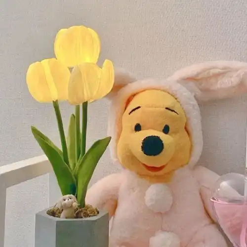  有趣开心的说说状态文案