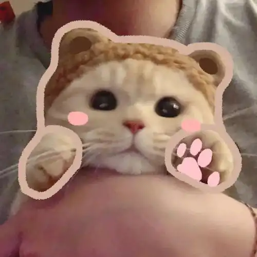  度娘都搜不到的温柔仙句喜欢你不是两三天,爱上你却在不经意间