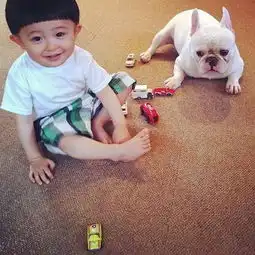  萌娃和萌犬的幸福生活