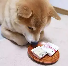 哈士奇和柴犬情侣头像头