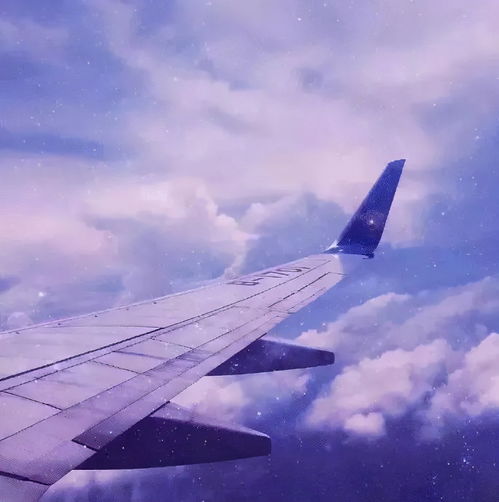  温柔小众文案,一眼沦陷的宝藏仙句