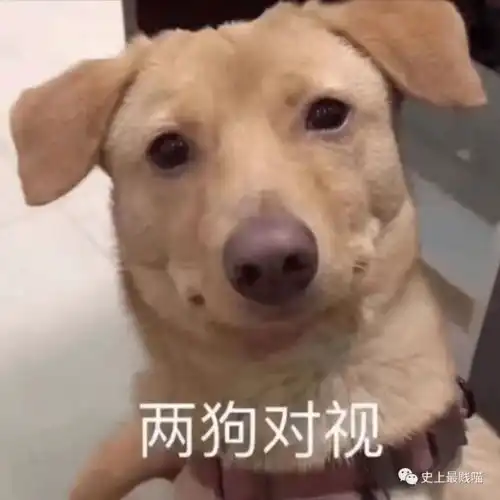  千万不要随便改同事备注哈哈哈哈场面一度十分尴尬