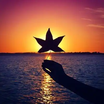  唯美内涵有意境的头像景色2018最新你的齐天大圣在来的路上