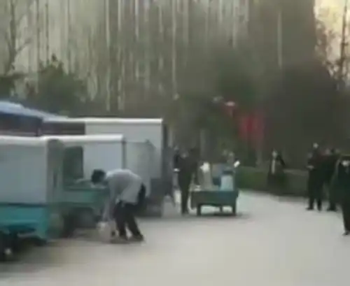  燕郊一男子只因心情不好虐杀小区里的流浪猫,小猫尸体惨不忍睹