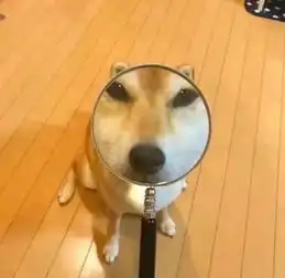  中奖公布对辣鸡同学好一点,毕竟可以用来换电影票